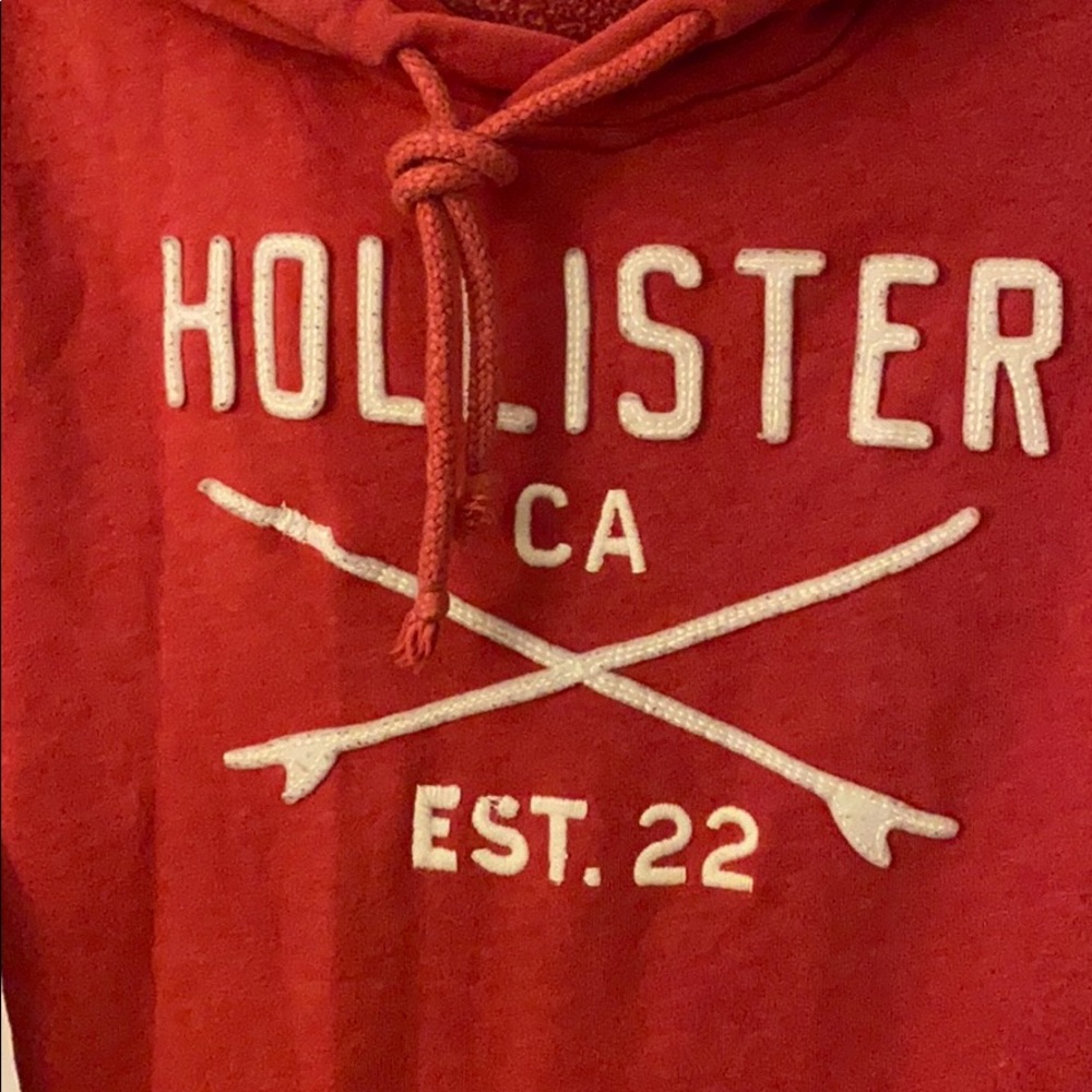Hollister logo hoodie